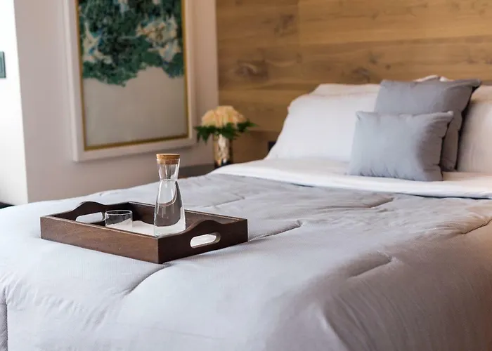 Chic Pent House Polanco