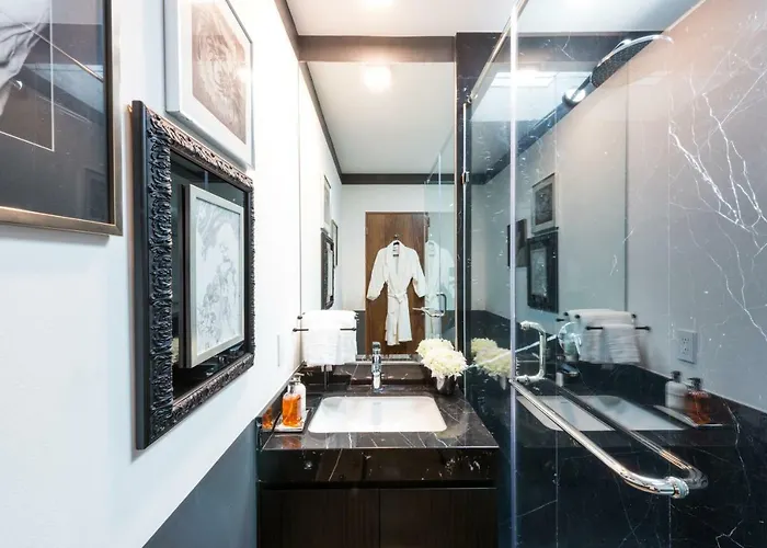 Chic Pent House Polanco